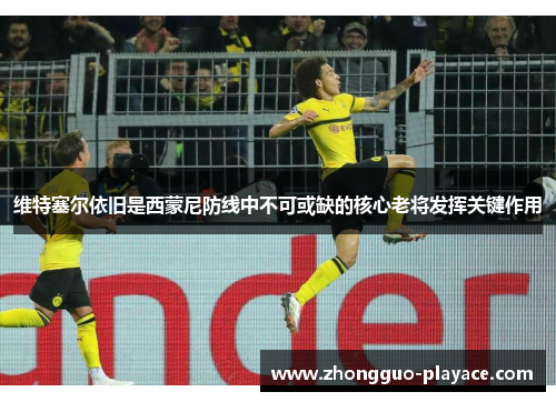 维特塞尔依旧是西蒙尼防线中不可或缺的核心老将发挥关键作用